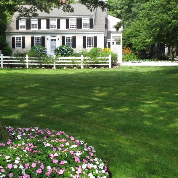 Maintained lawn and flower bed in front of a Cape Cod colonial home with a white fence